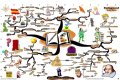 An Interpretation of Shakespeare's Comic Tools